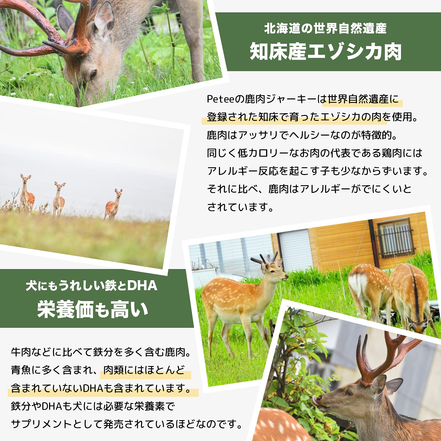 Amazon | 北海道産 犬用 おやつ 知床 エゾシカ 無添加 ジャーキー